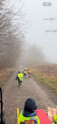 Durch den Nebel rennen