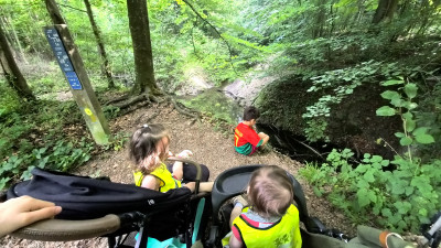 Natur Geräusche genießen