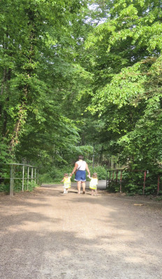 Wald spazieren